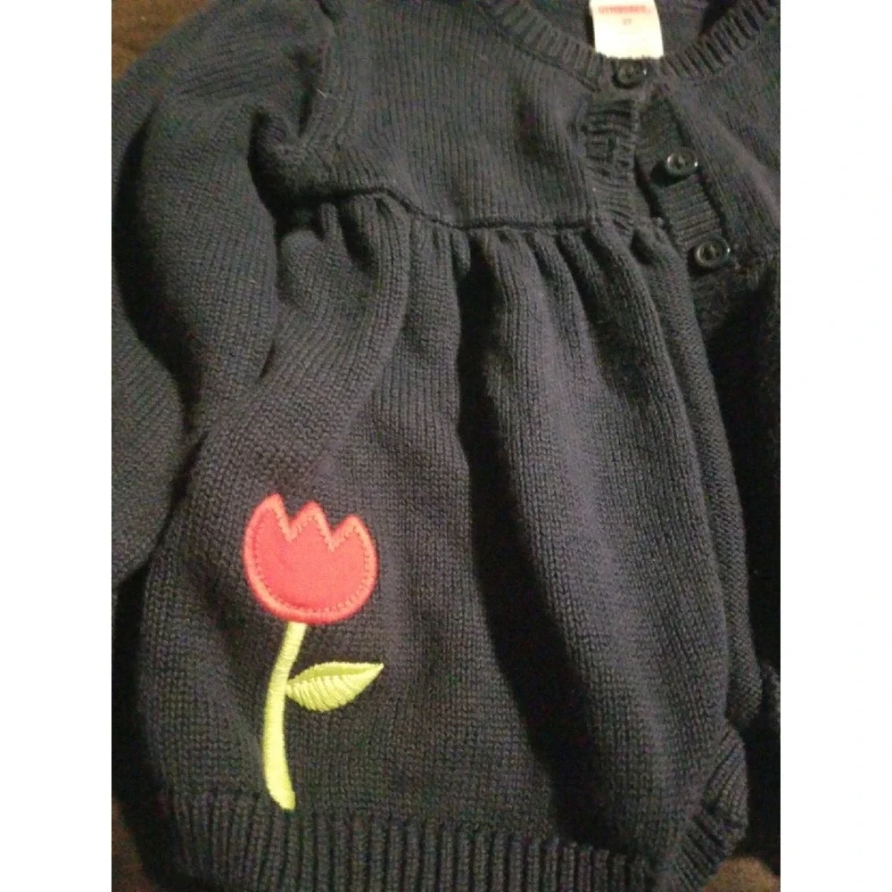 Gymboree Holland days‎ tulip sweater 2t